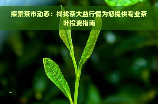 探索茶市动态：找找茶大益行情为您提供专业茶叶投资指南