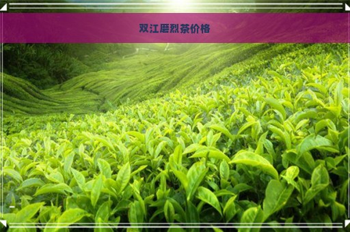 双江磨烈茶价格