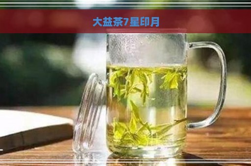 大益茶7星印月