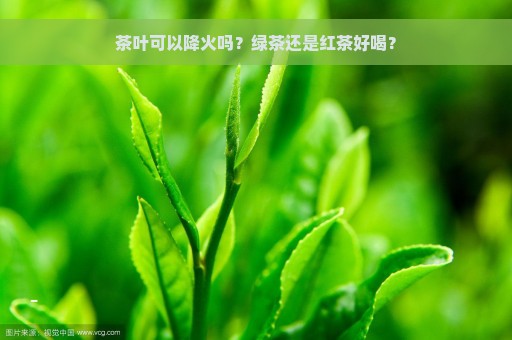 茶叶可以降火吗？绿茶还是红茶好喝？