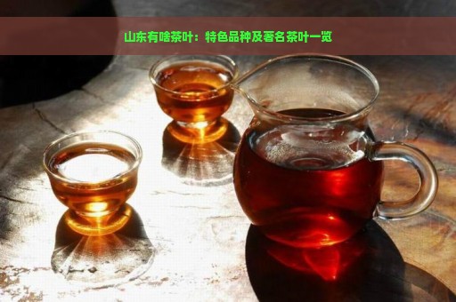 山东有啥茶叶：特色品种及著名茶叶一览