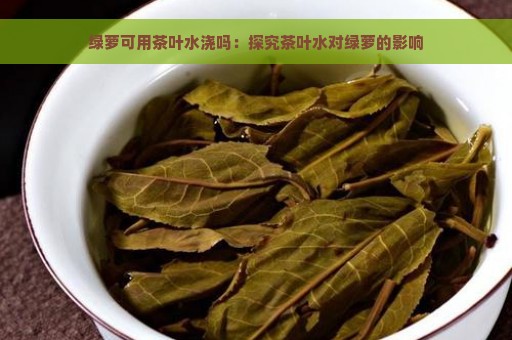 绿萝可用茶叶水浇吗：探究茶叶水对绿萝的影响