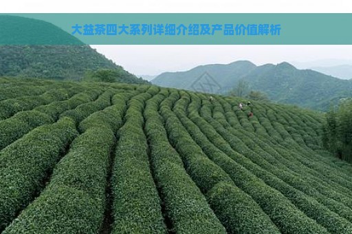 大益茶四大系列详细介绍及产品价值解析