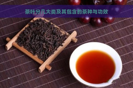 茶叶分几大类及其包含的茶种与功效