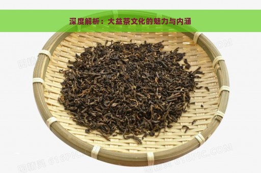 深度解析：大益茶文化的魅力与内涵