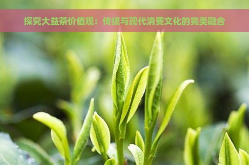 探究大益茶价值观：传统与现代消费文化的完美融合