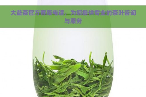 大益茶官方客服电话，为您提供专业的茶叶咨询与服务