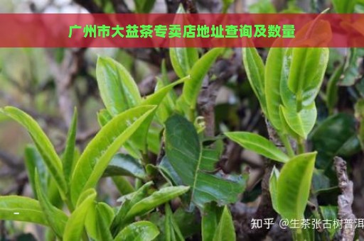 广州市大益茶专卖店地址查询及数量