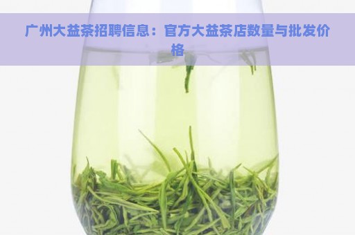 广州大益茶招聘信息：官方大益茶店数量与批发价格