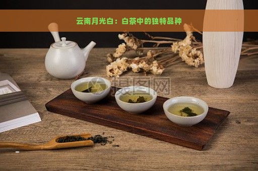 云南月光白：白茶中的独特品种