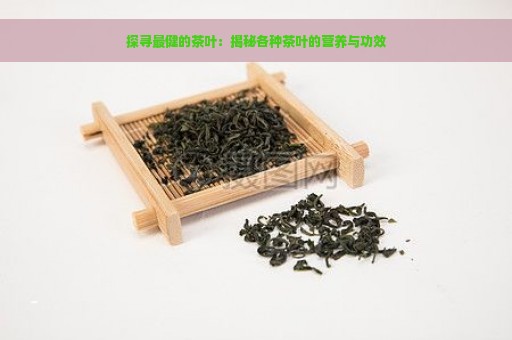 探寻最健的茶叶：揭秘各种茶叶的营养与功效