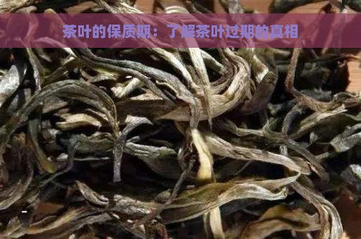 茶叶的保质期：了解茶叶过期的真相