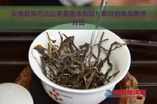 云南勐海巴达山老寨是冰岛吗？茶叶价格与黄州对比