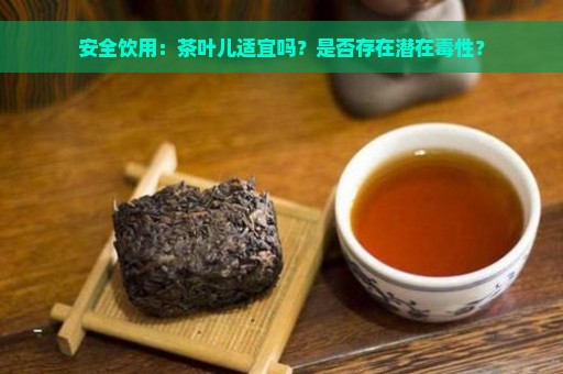 安全饮用：茶叶儿适宜吗？是否存在潜在毒性？