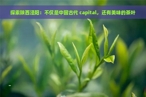 探索陕西泾阳：不仅是中国古代 capital，还有美味的茶叶