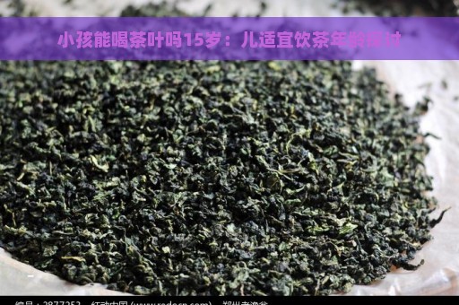 小孩能喝茶叶吗15岁：儿适宜饮茶年龄探讨