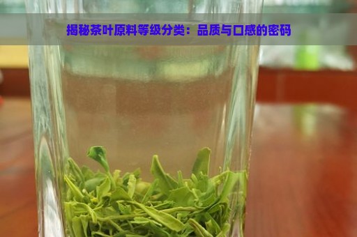 揭秘茶叶原料等级分类：品质与口感的密码