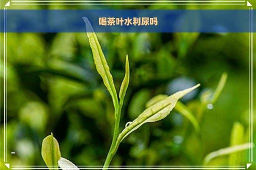 喝茶叶水利尿吗