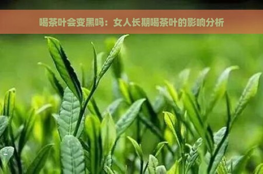 喝茶叶会变黑吗：女人长期喝茶叶的影响分析