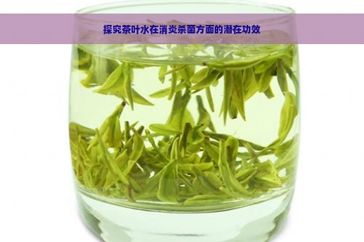 探究茶叶水在消炎杀菌方面的潜在功效