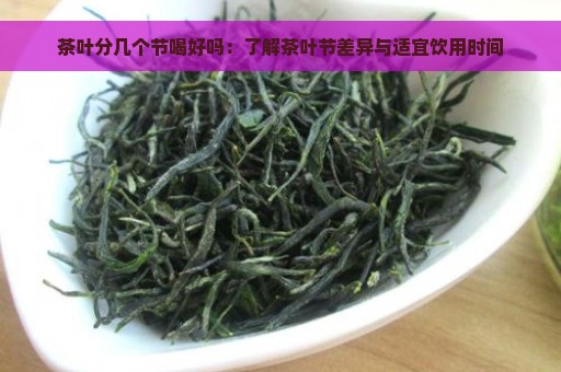 茶叶分几个节喝好吗：了解茶叶节差异与适宜饮用时间