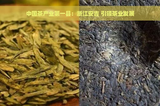 中国茶产业第一县：浙江安吉 引领茶业发展