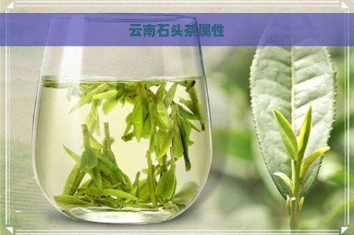 云南石头茶属性