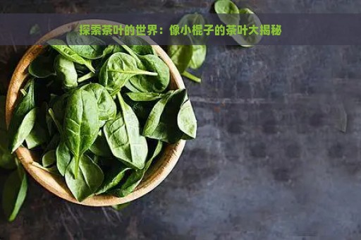 探索茶叶的世界：像小棍子的茶叶大揭秘