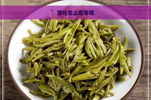 茶叶怎么看等级