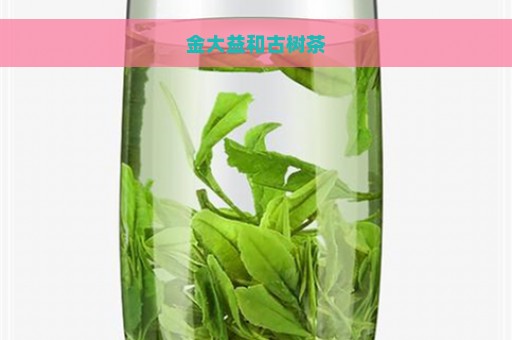 金大益和古树茶