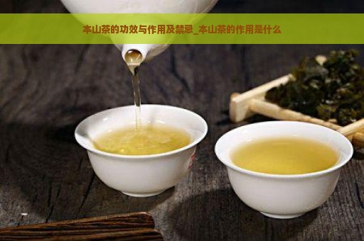 本山茶的功效与作用及禁忌_本山茶的作用是什么