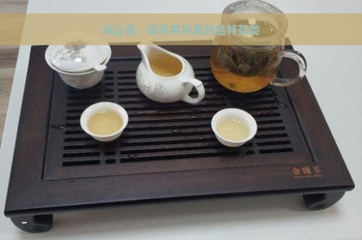 本山茶：探寻其所属的独特茶类