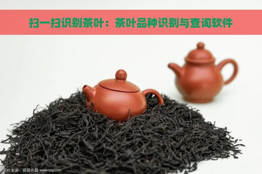 扫一扫识别茶叶：茶叶品种识别与查询软件