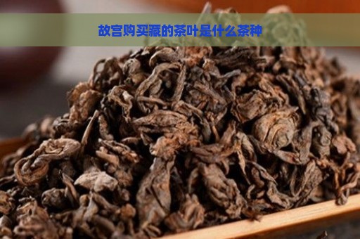 故宫购买藏的茶叶是什么茶种