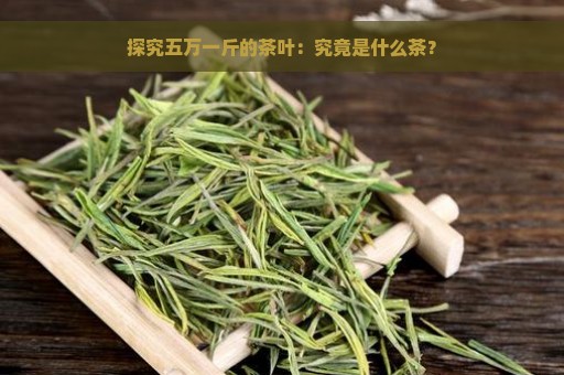 探究五万一斤的茶叶：究竟是什么茶？