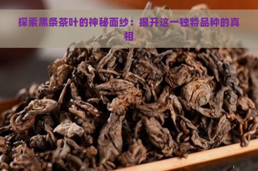 探索黑条茶叶的神秘面纱：揭开这一独特品种的真相