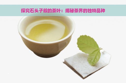 探究石头子般的茶叶：揭秘茶界的独特品种