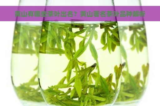 黄山有哪些茶叶出名？黄山著名茶叶品种解析