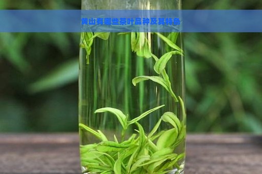 黄山有哪些茶叶品种及其特色