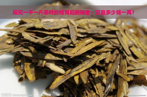 探究一千一斤茶叶价格背后的秘密：究竟多少钱一两？