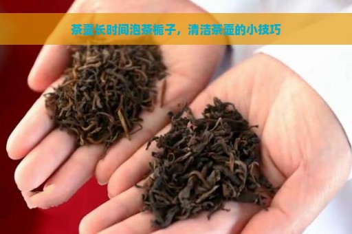 茶壶长时间泡茶栀子，清洁茶壶的小技巧