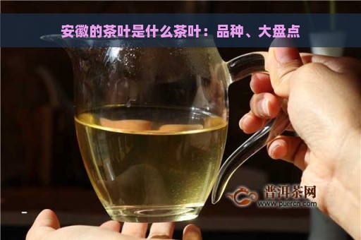 安徽的茶叶是什么茶叶：品种、大盘点