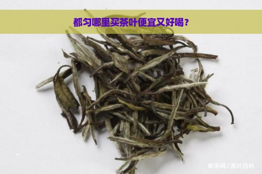 都匀哪里买茶叶便宜又好喝？