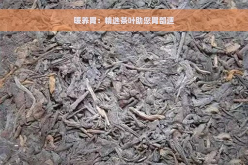 暖养胃：精选茶叶助您胃部适