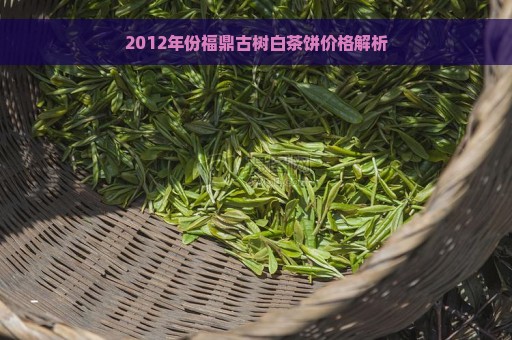 2012年份福鼎古树白茶饼价格解析