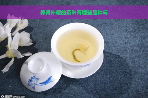 养肾补精的茶叶有哪些品种与