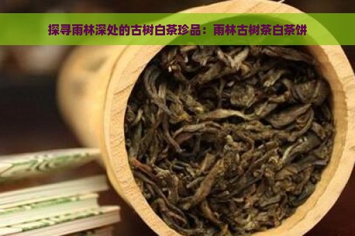 探寻雨林深处的古树白茶珍品：雨林古树茶白茶饼