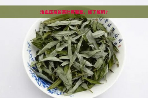 治血压高的茶叶有哪些，你了解吗？