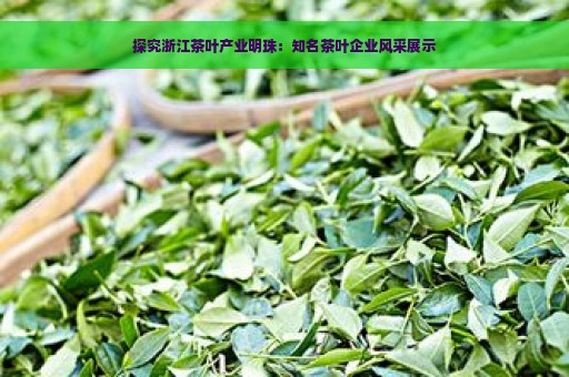 探究浙江茶叶产业明珠：知名茶叶企业风采展示