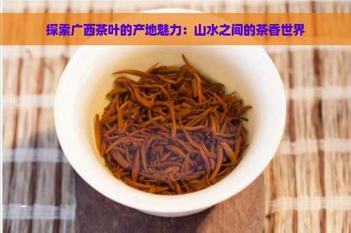 探索广西茶叶的产地魅力：山水之间的茶香世界